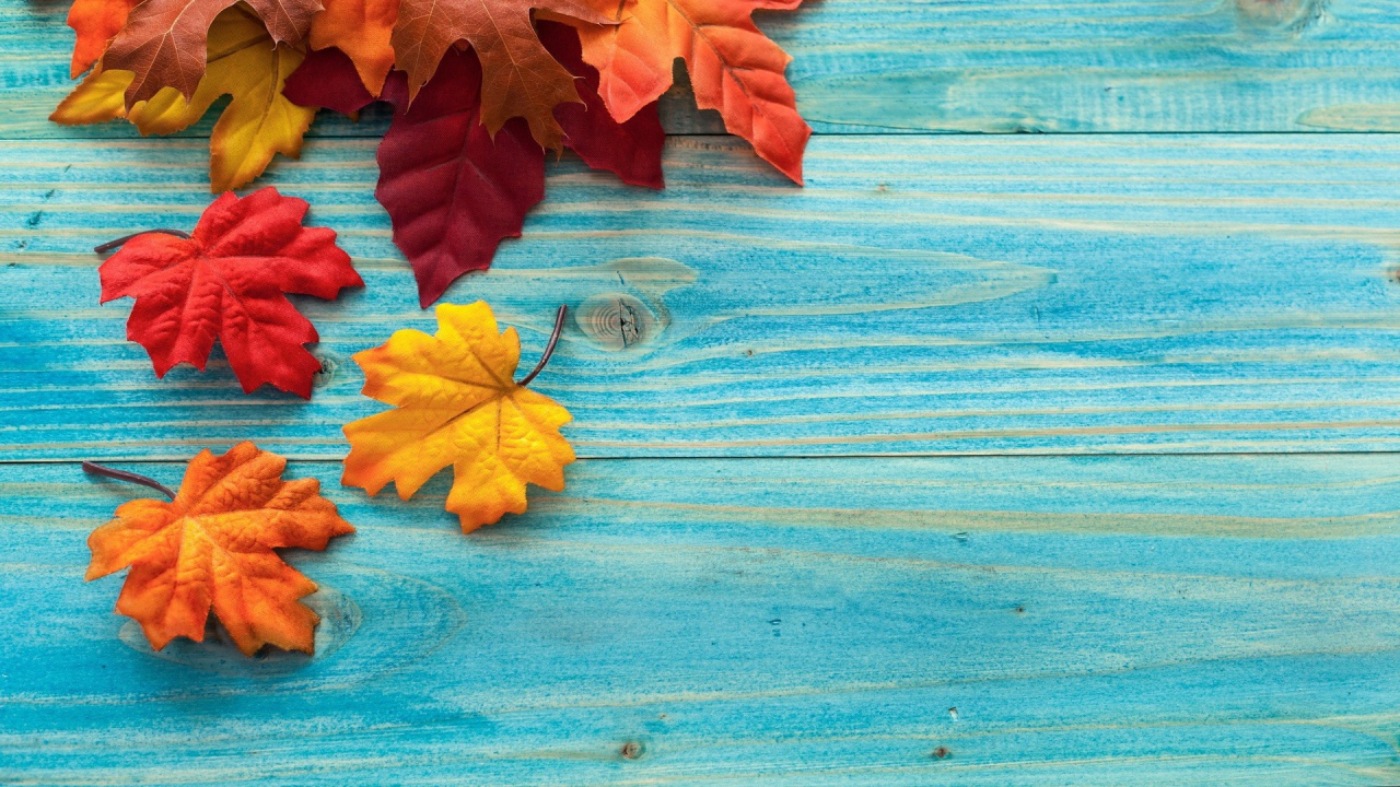 Осенние листья на голубых досках