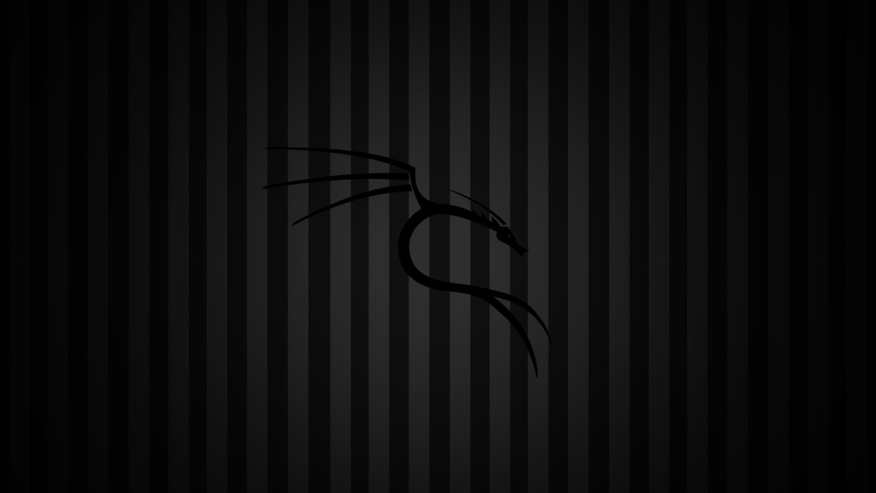 Черный фон Kali Linux