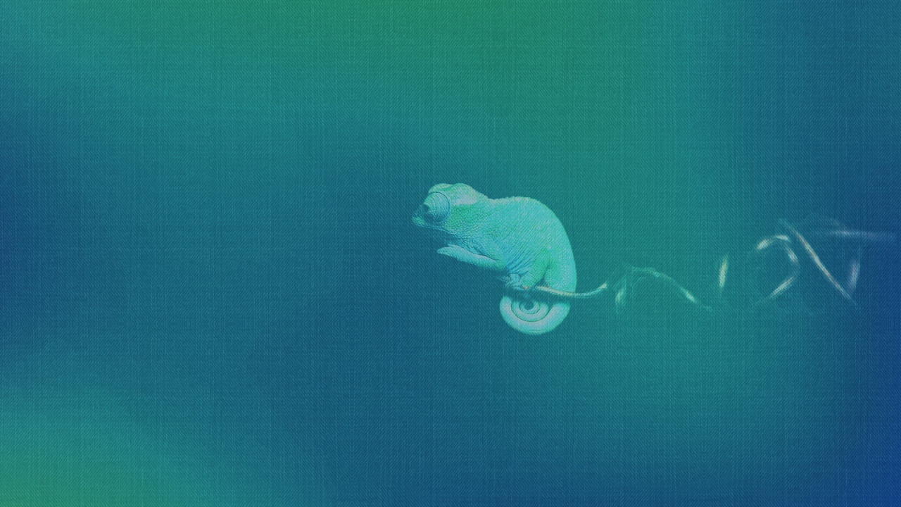 Chameleon, blue background Ubuntu