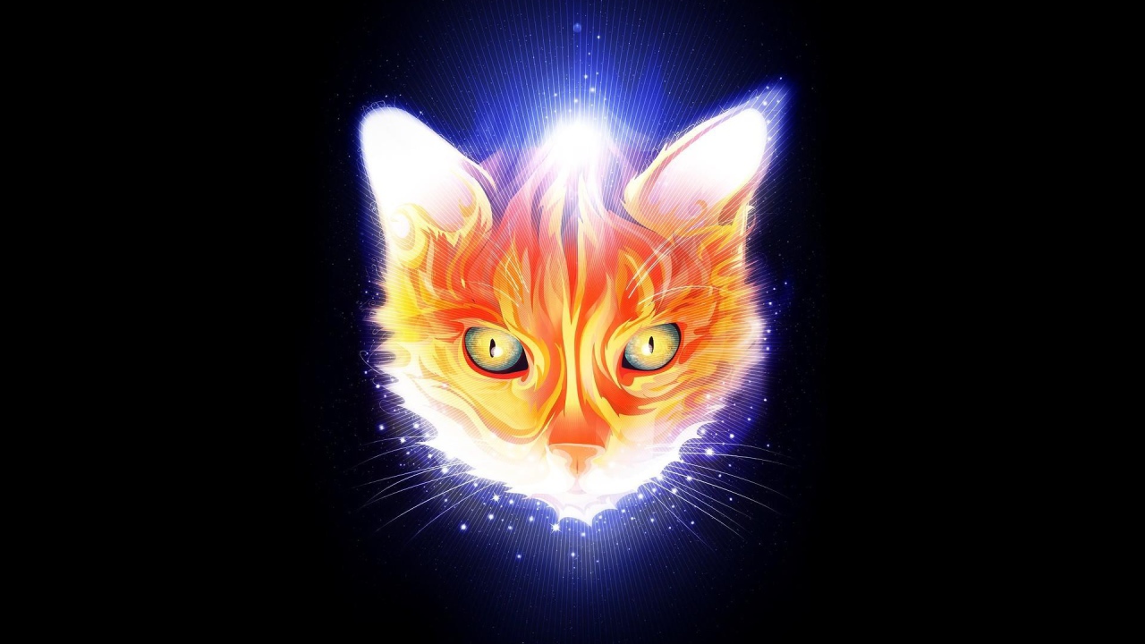 Огненная мордочка кота, черный фон