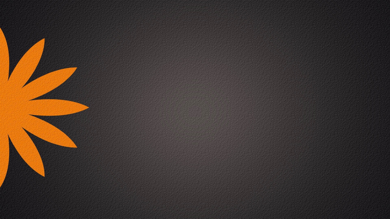 Серый фон, оранжевый цветок