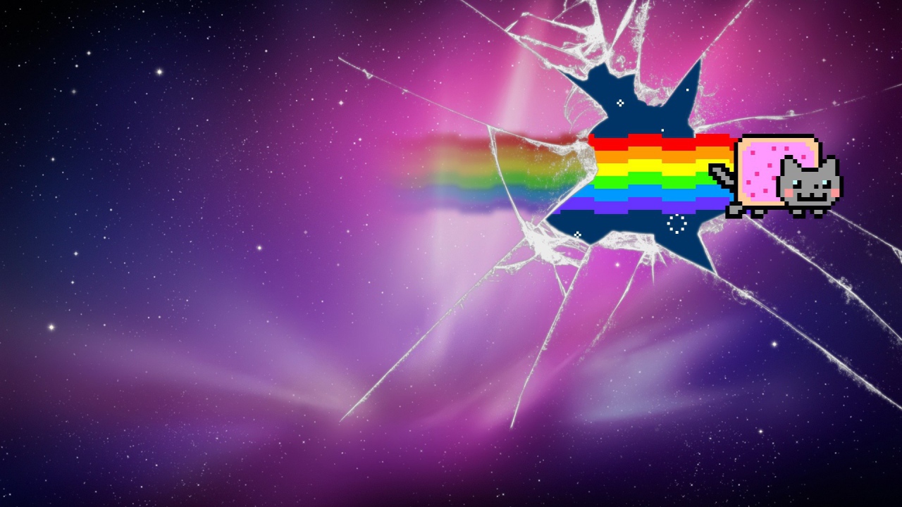 Нян кот разбил стекло