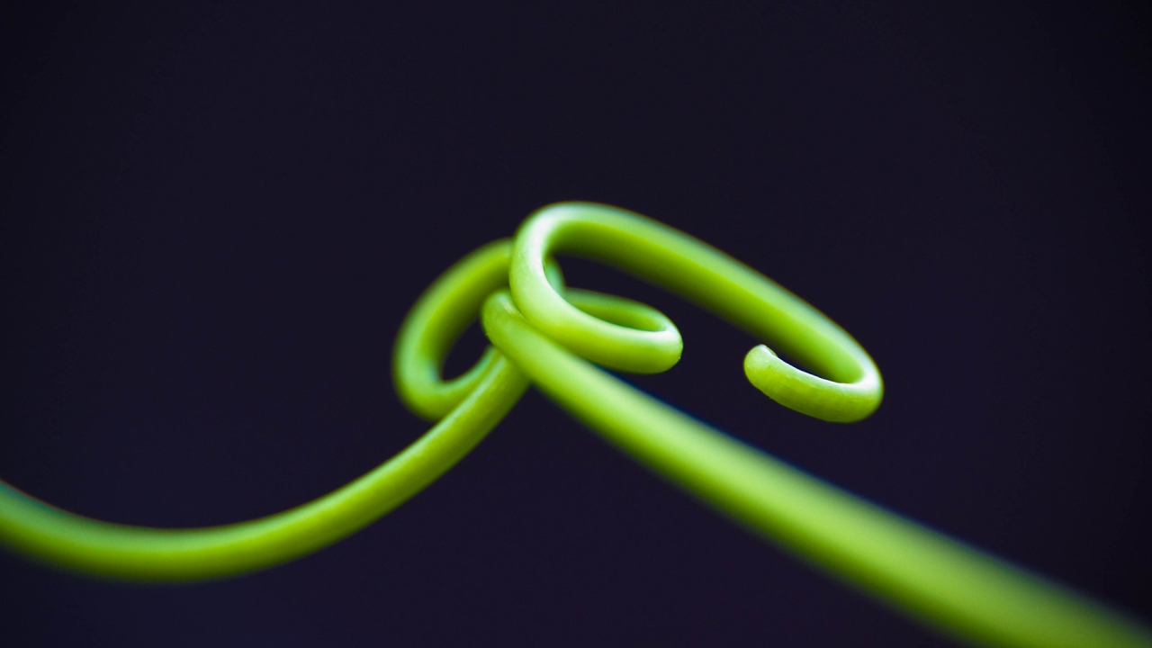 Нежные зеленые ростки на темном фоне