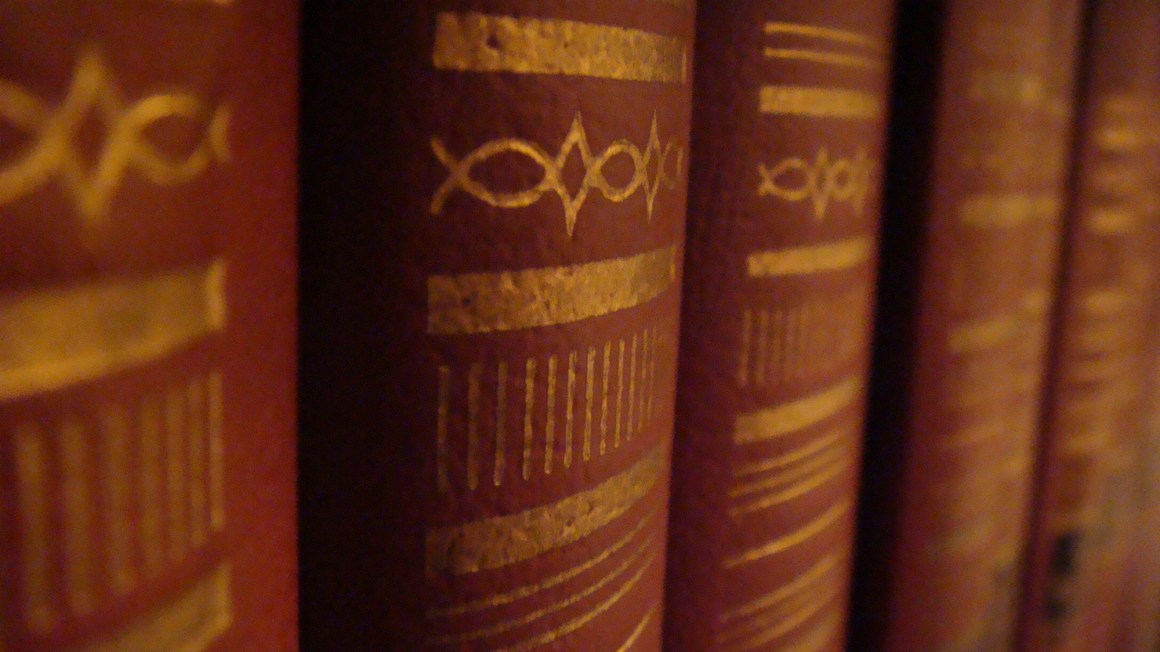 Корешки книг