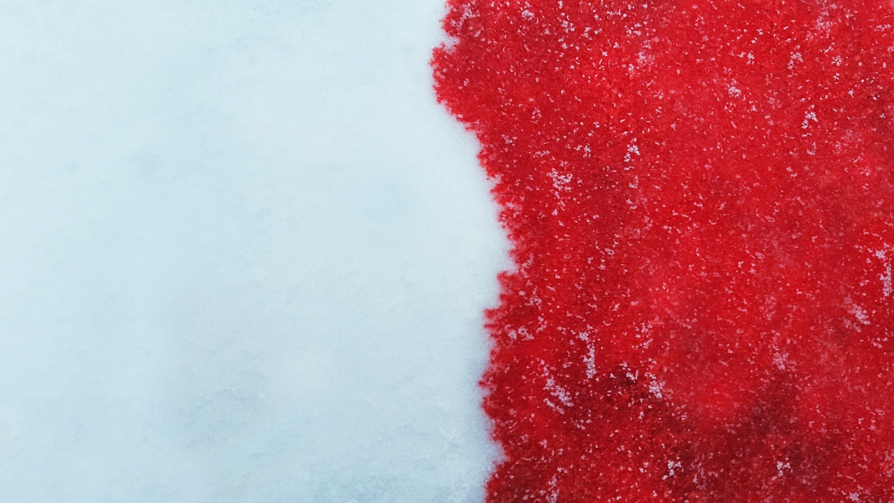 Кровь на белом снеге