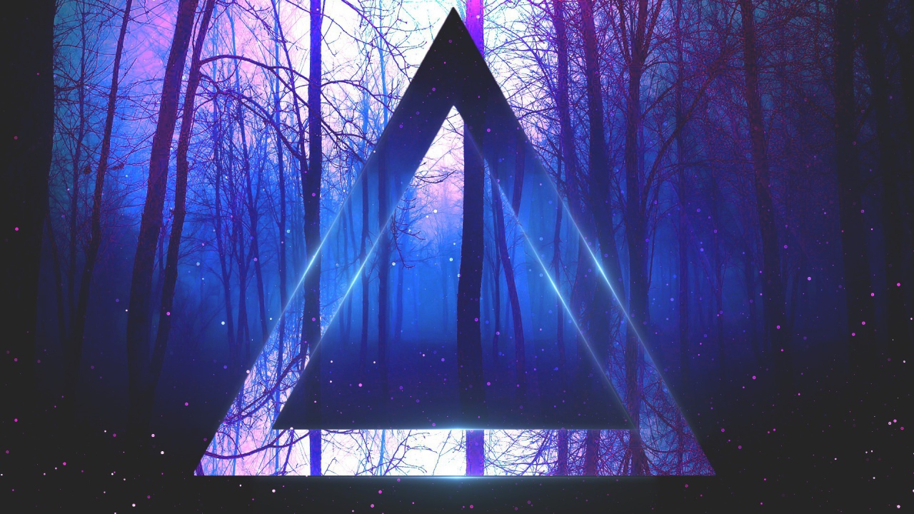 Треугольник на фоне веток