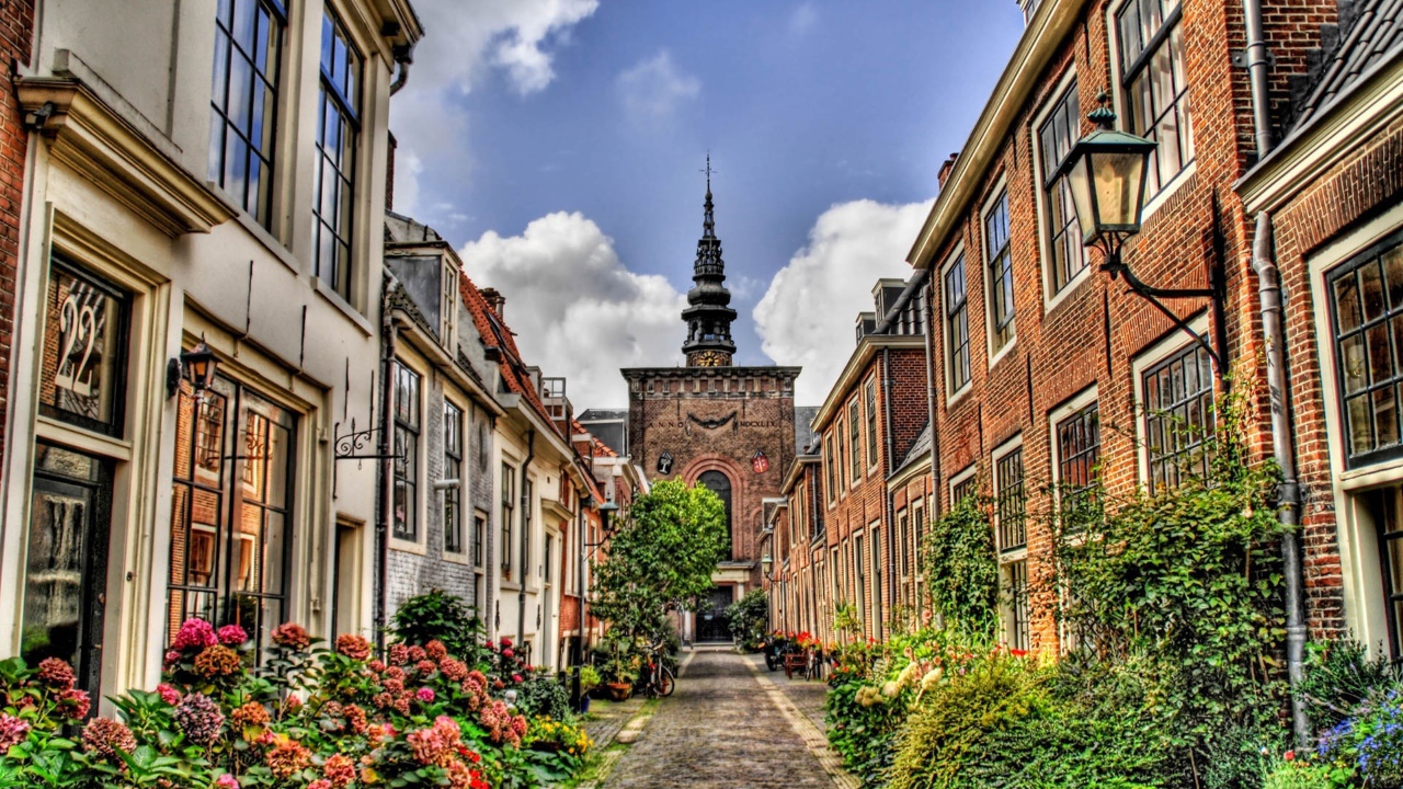 Цветущая узкая улица