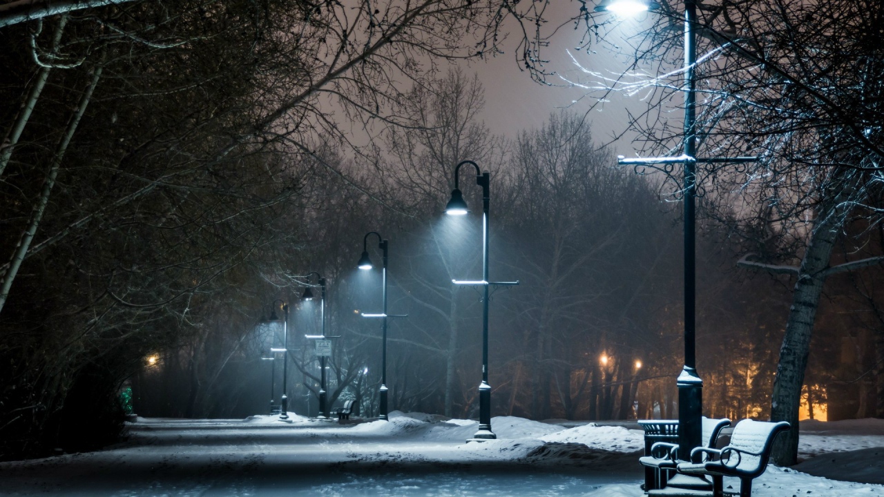 Night alley in winter park