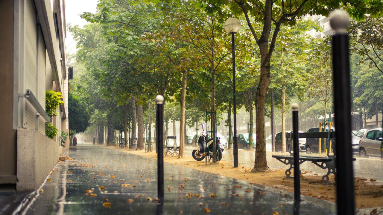 Street of Paris in the rain