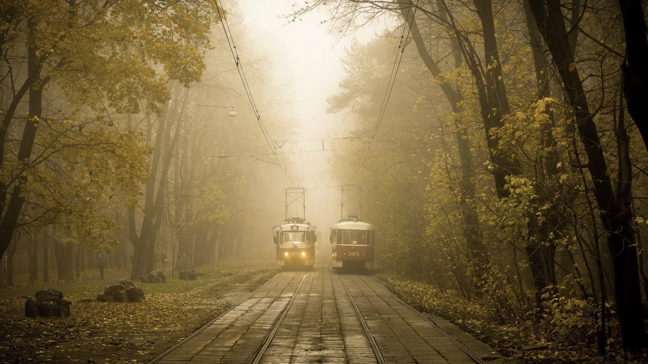 Два трамвая на линии в городском парке