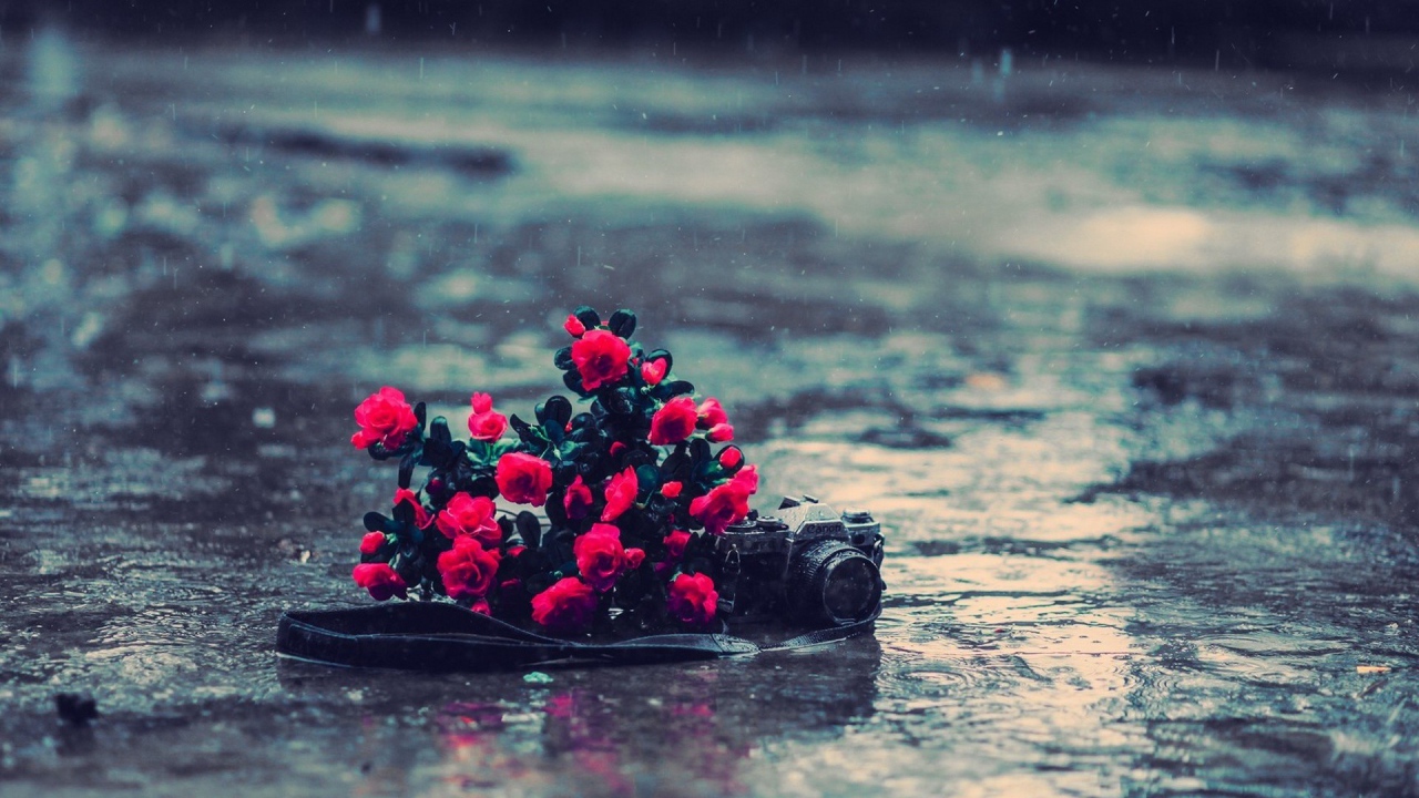 Букет цветов и фотоаппарат под дождем