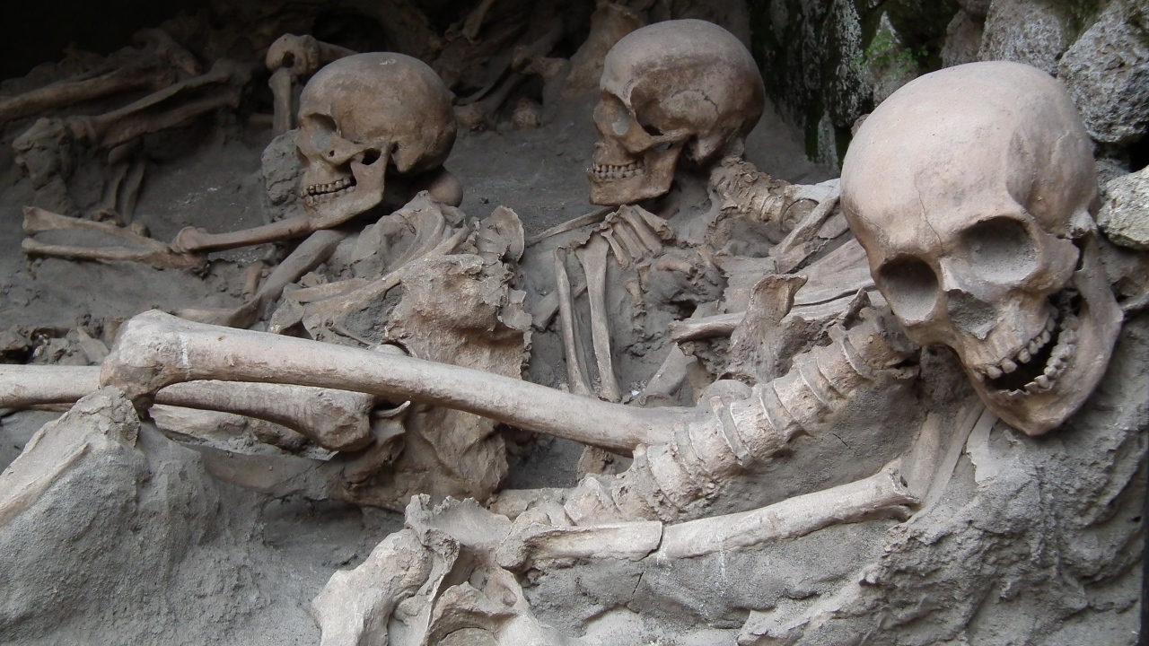 Археологические раскопки древнего захоронения