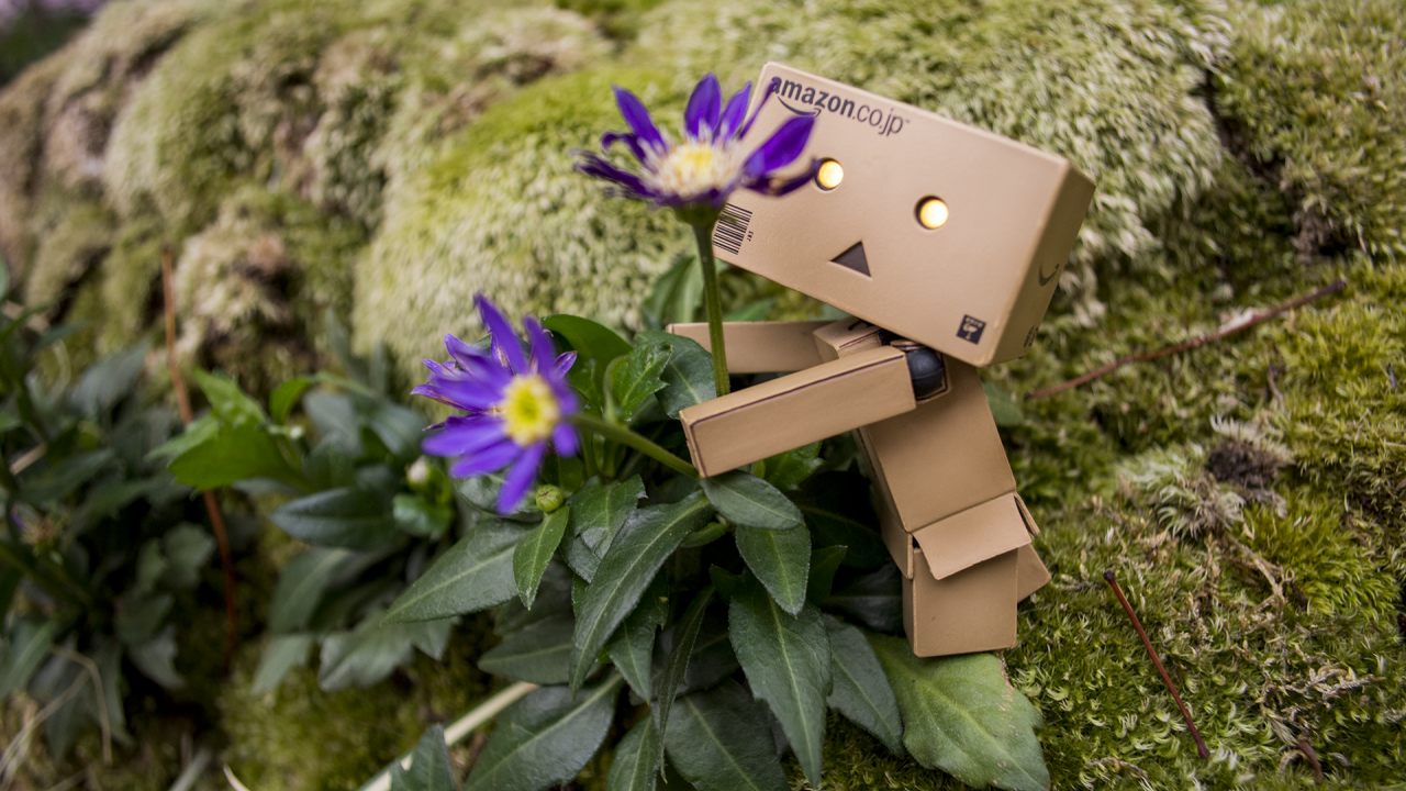 Дандо обнимает цветок