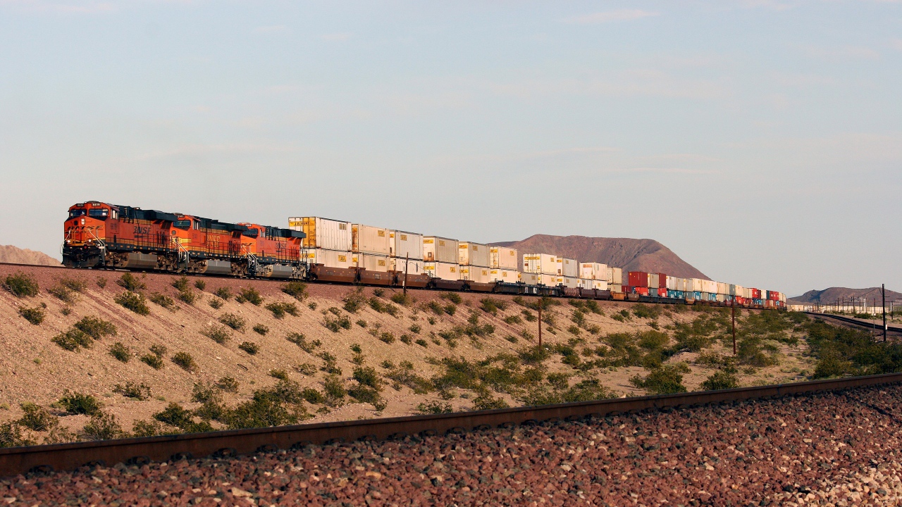 Грузовой поезд перевозит контейнеры