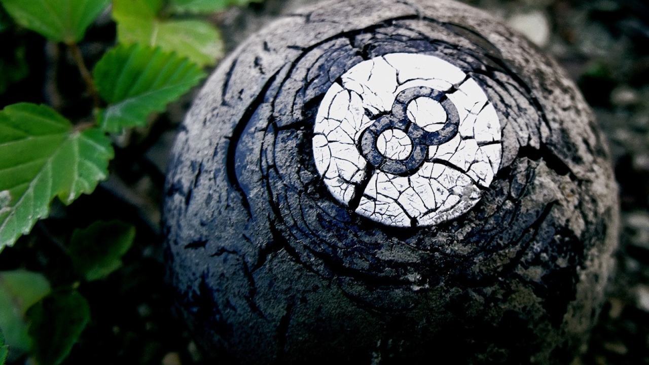 Старый бильярдный шар в лесу