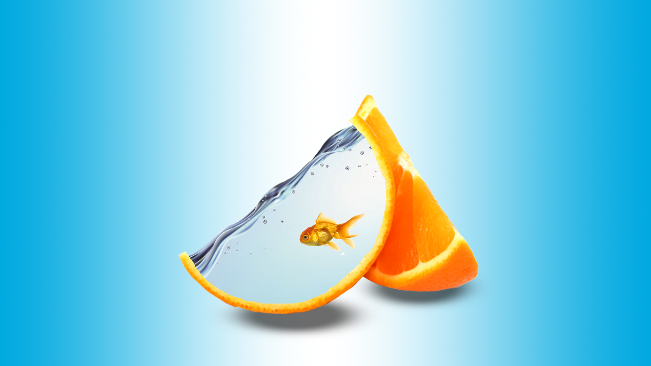 Долька апельсина в качестве аквариума