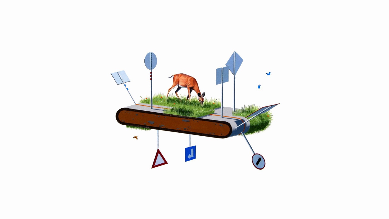 Путь животного в современном мире