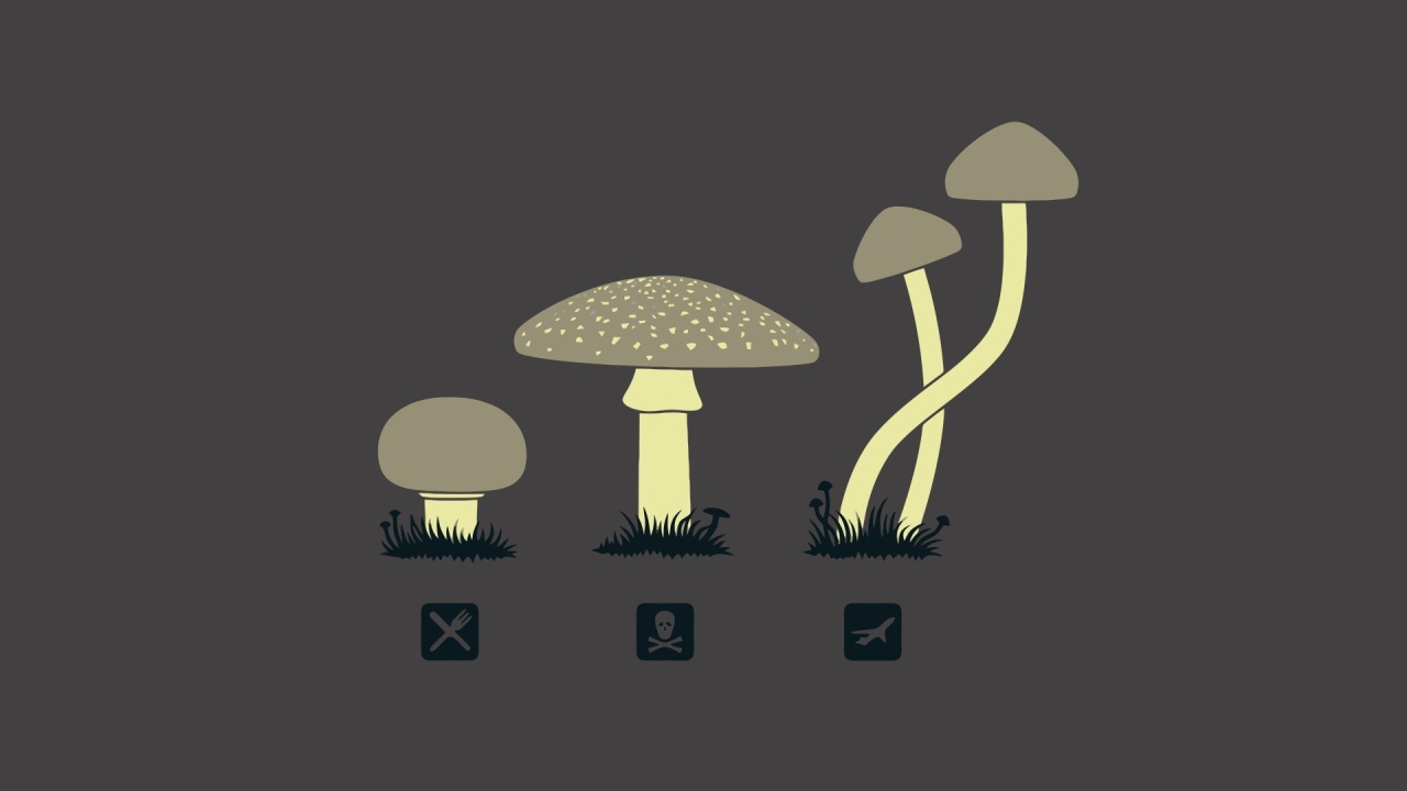 Предназначение разных грибов