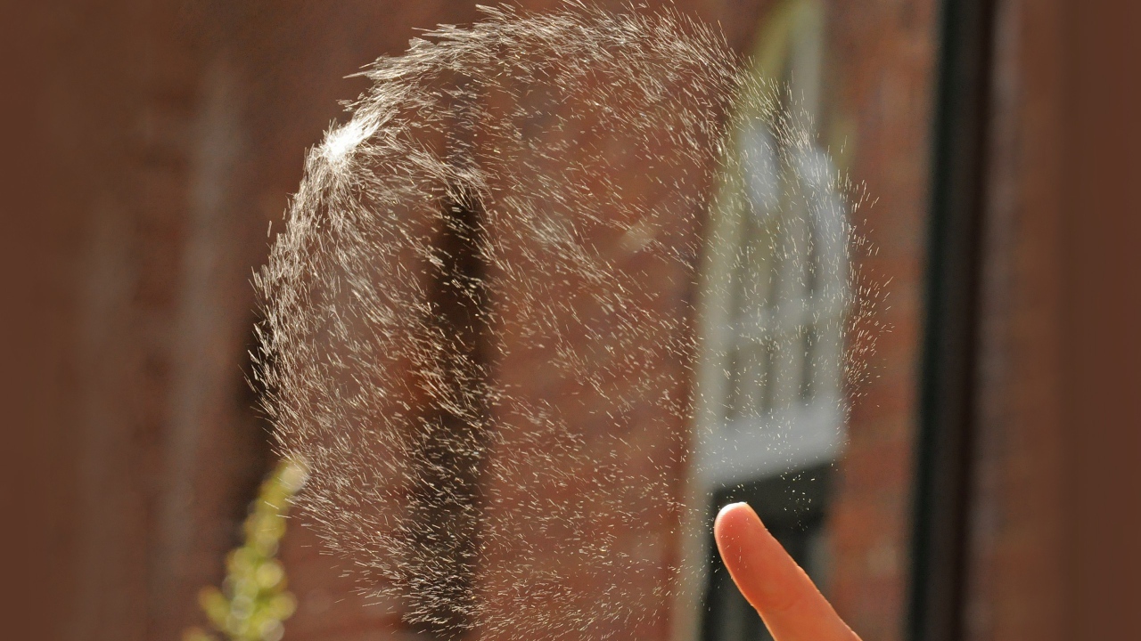 Мыльный пузырь проткнут пальцем