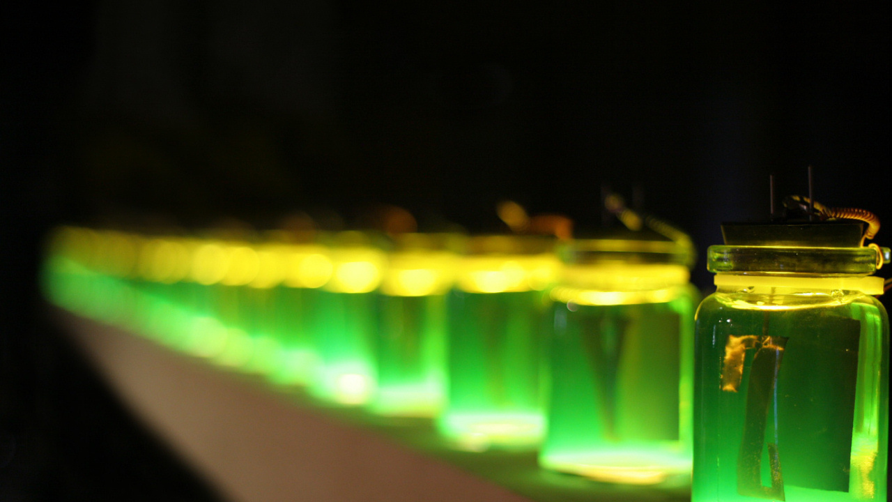 Ряд баночек 