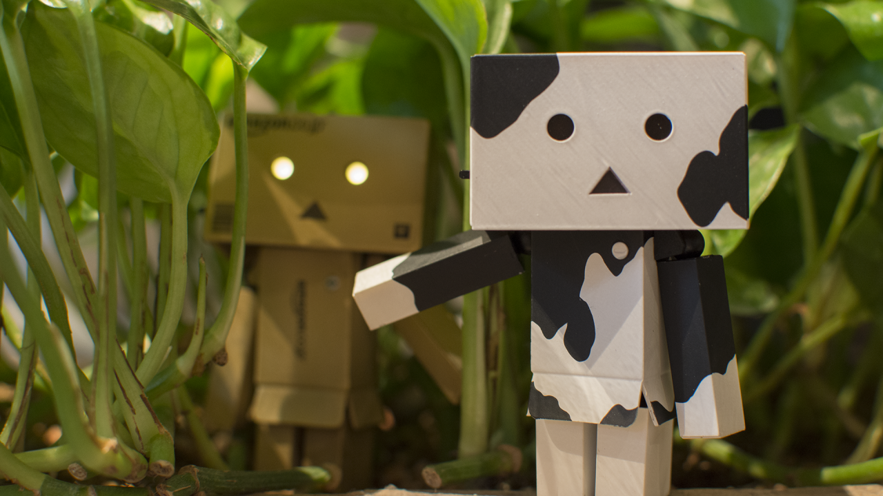 Два Дандо под листьями