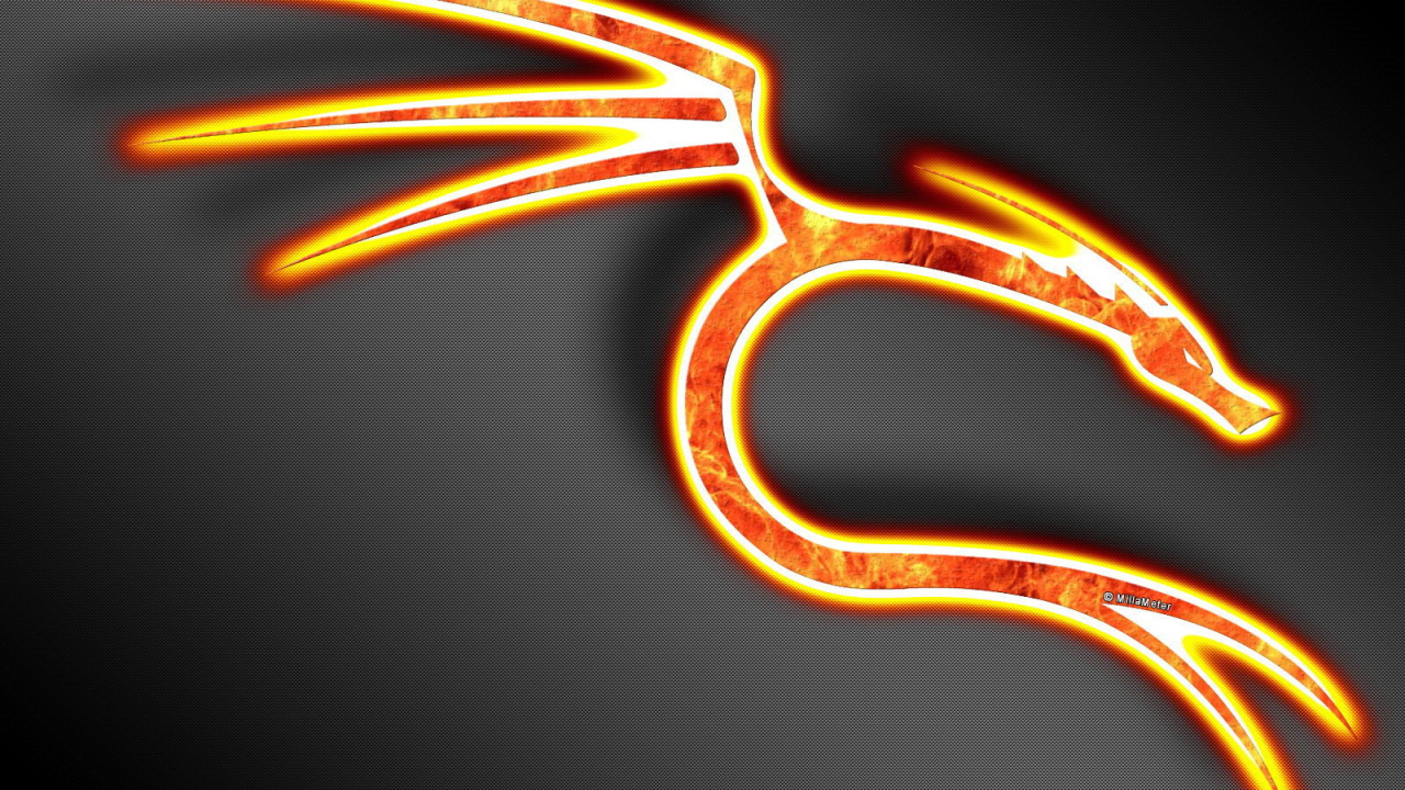 Знак огненного дракона