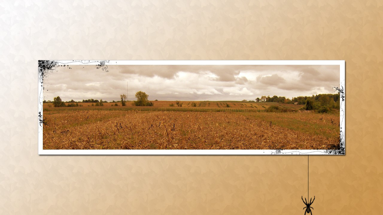 Паук на картине