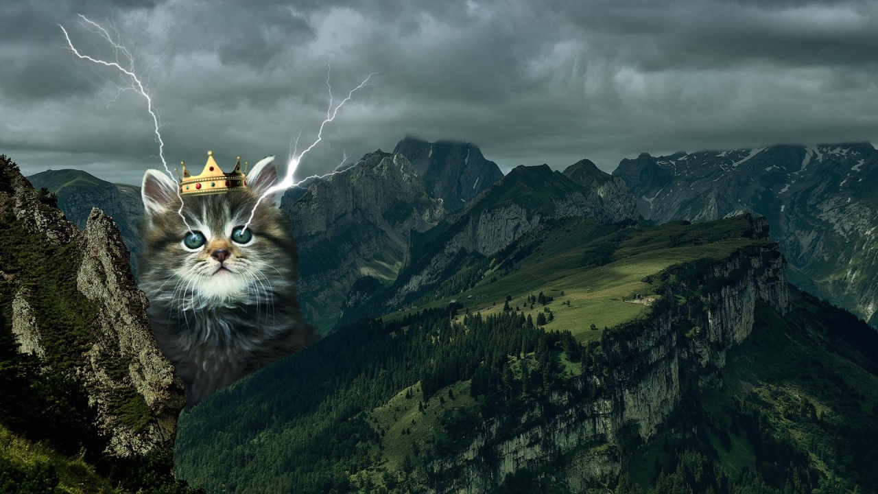 Кот в короне среди гор