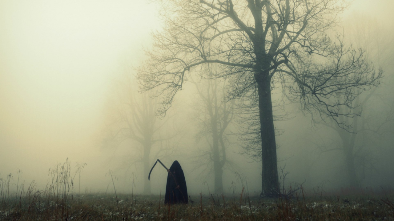 Смерть в темном лесу