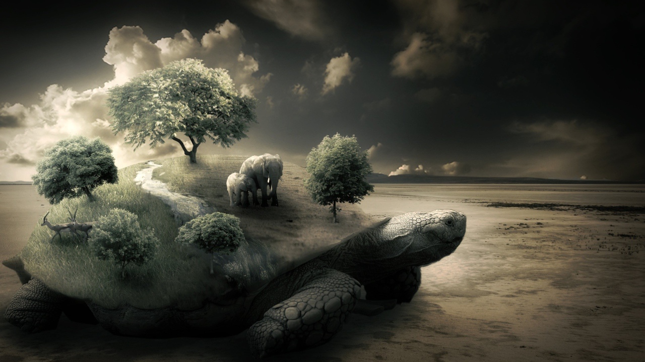 Слоны на черепахе на берегу моря