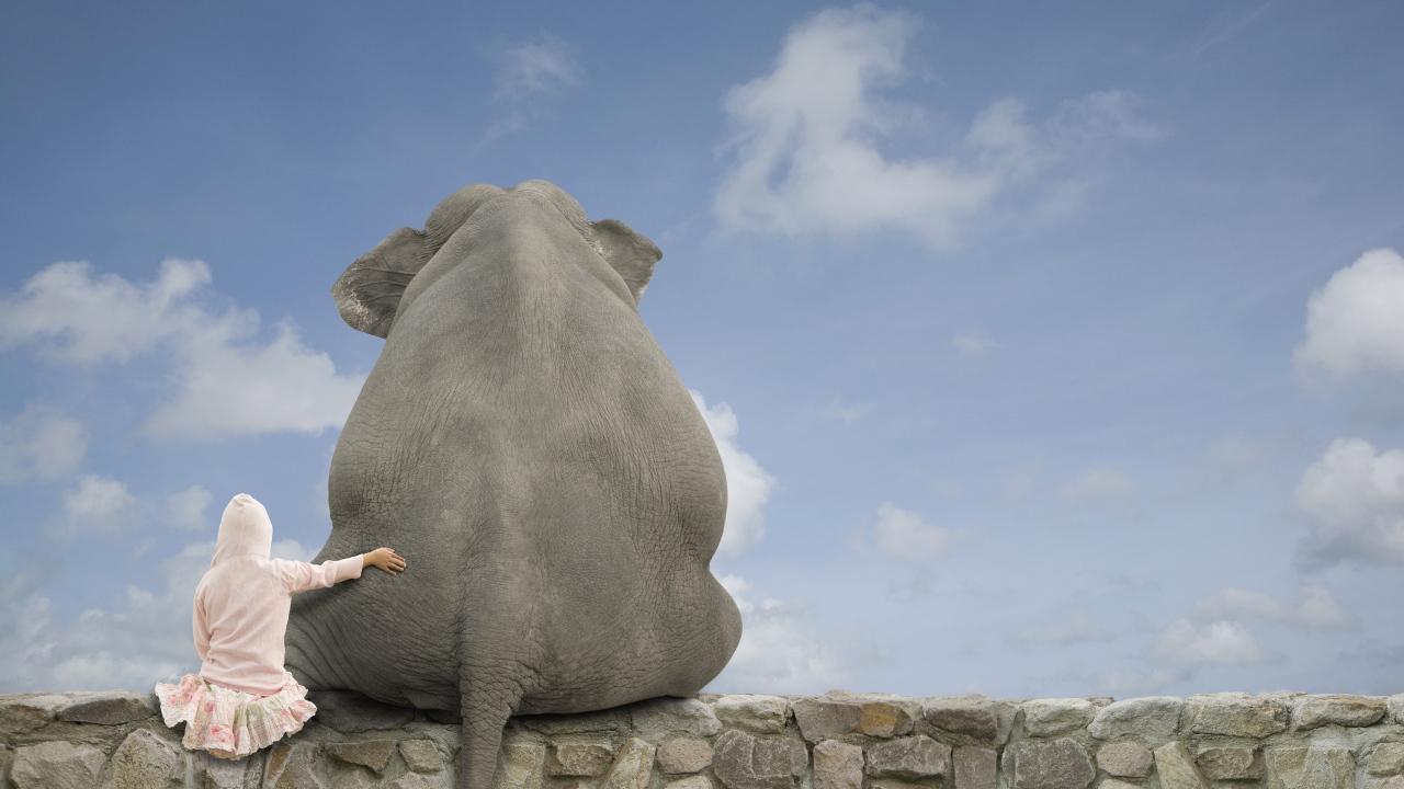 Девочка обнимает слона