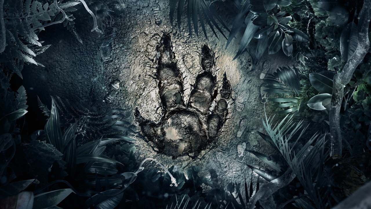 След загадочного зверя