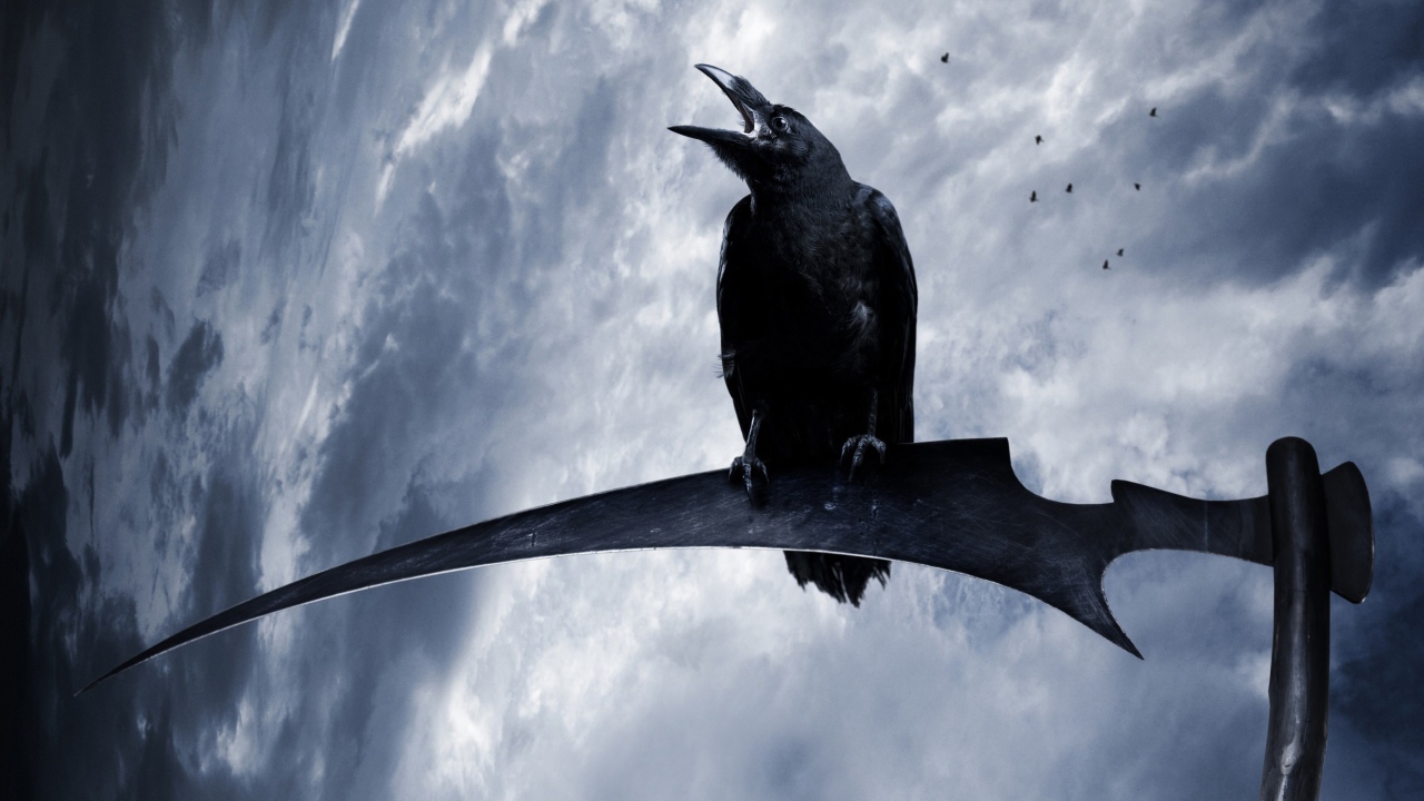 Ворон на косе