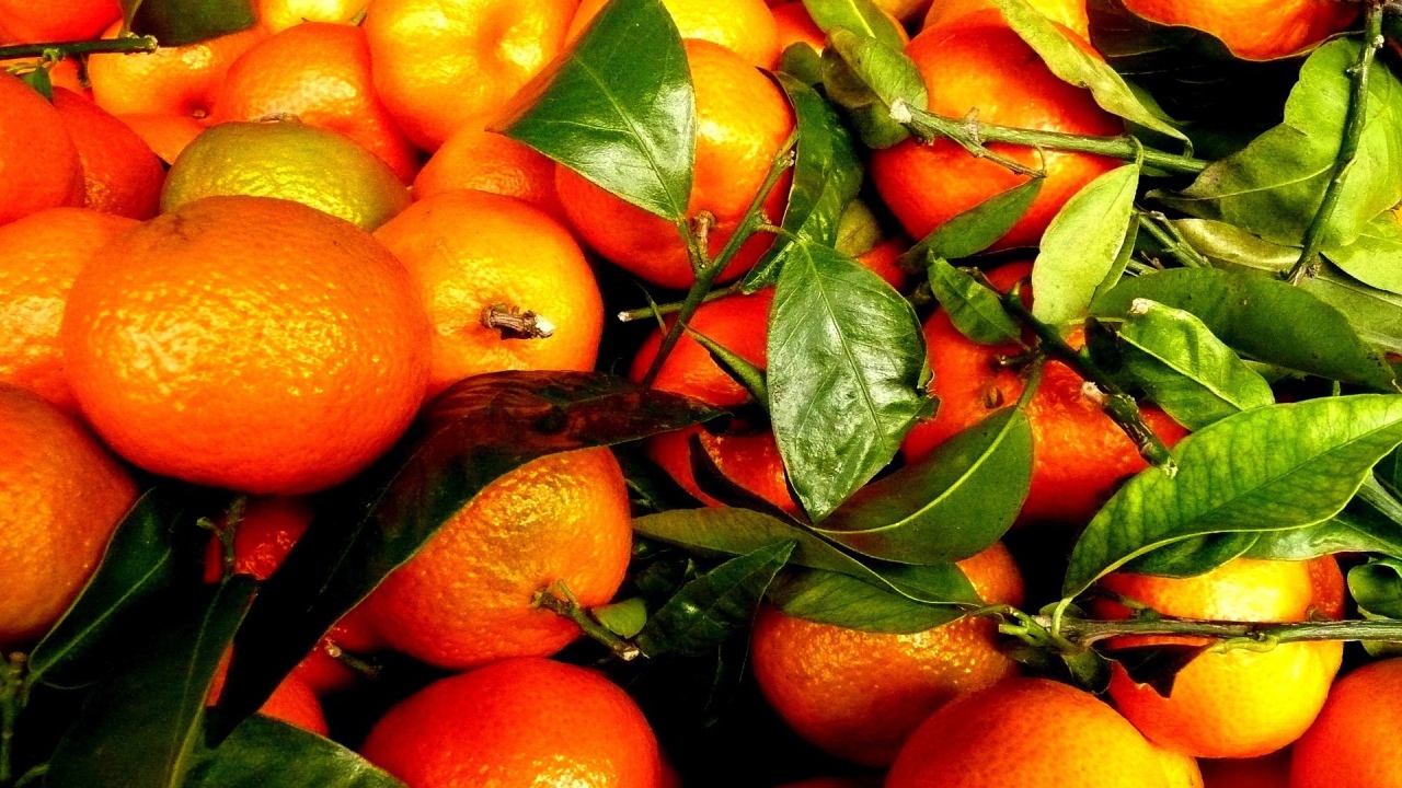 Зрелые плоды и веточки с апельсинового дерева