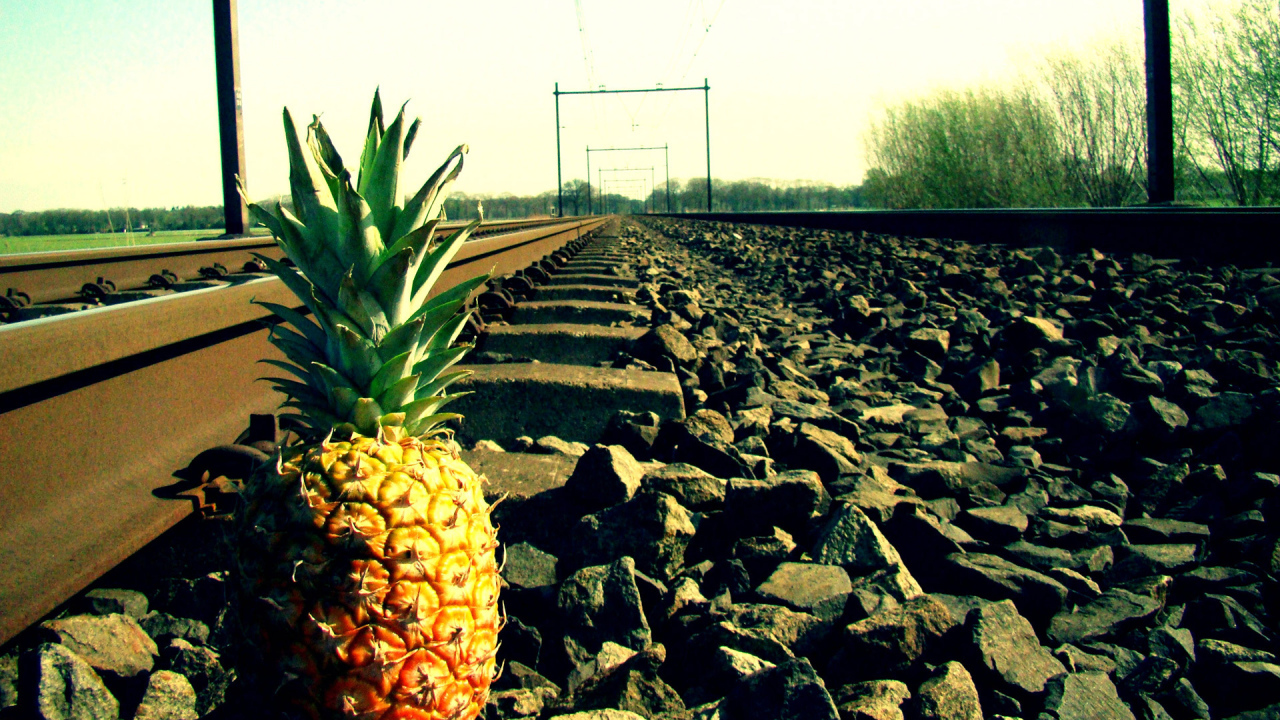 Ананас у рельса