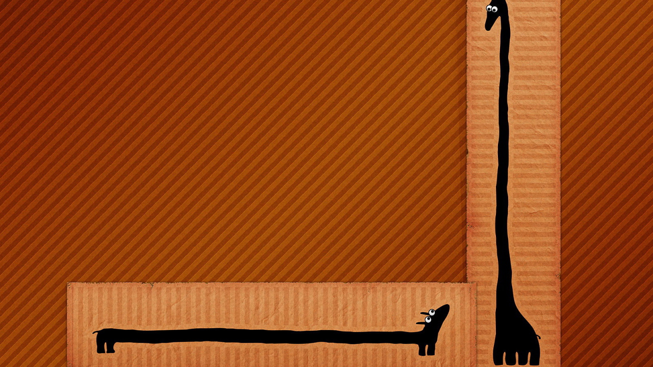 Низкий длинный и высокий длинный