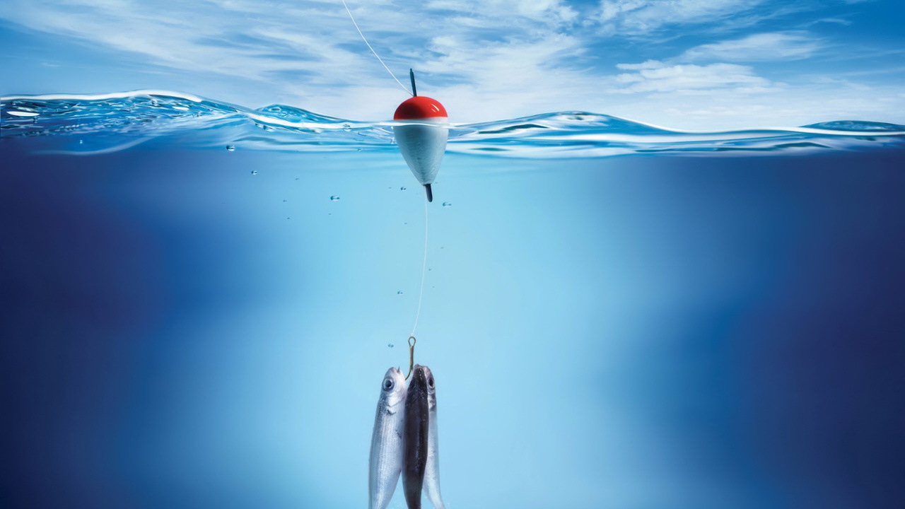 Три рыбы на крючке