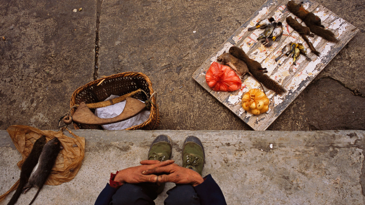 Торговля деликатесами