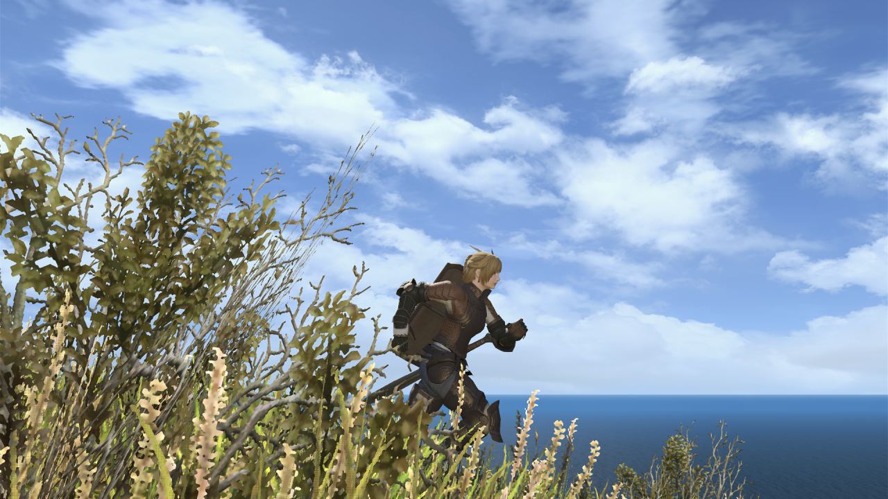 Мир игры Final Fantasy XIV