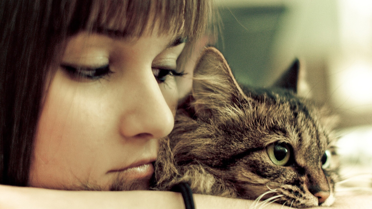 Девушка сидит со своим котом