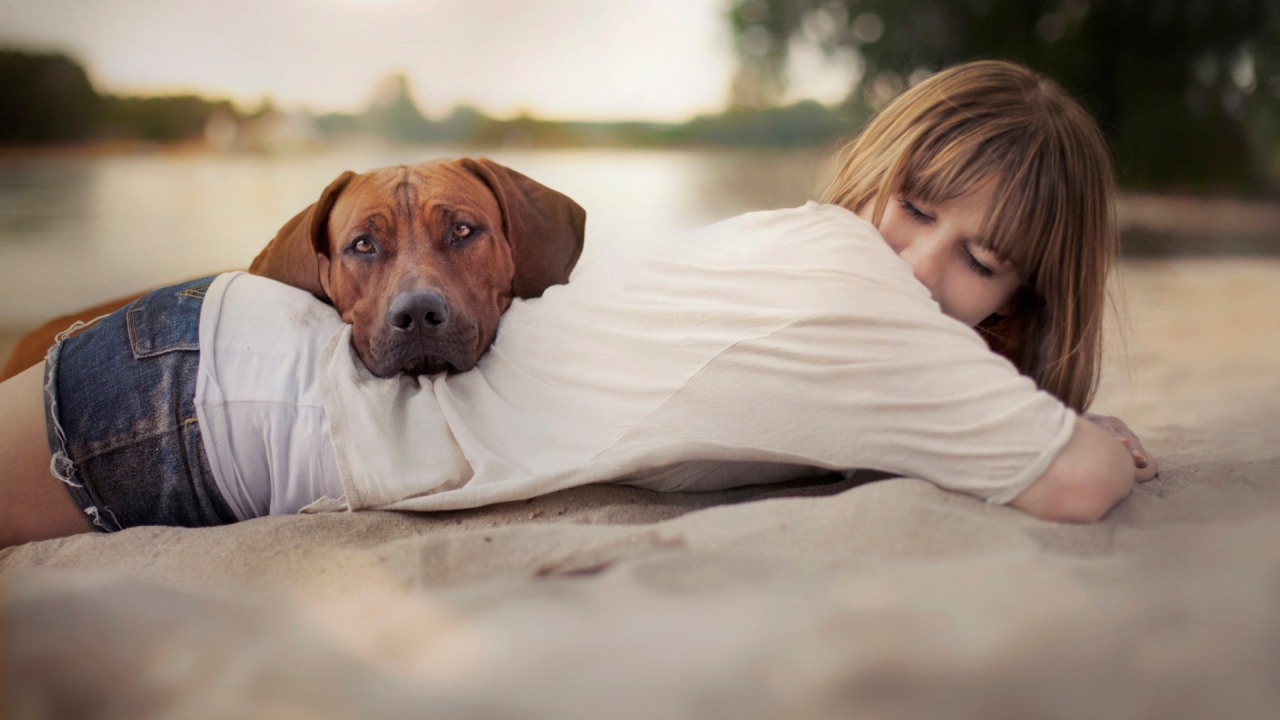 Собака положила голову на спину девушки