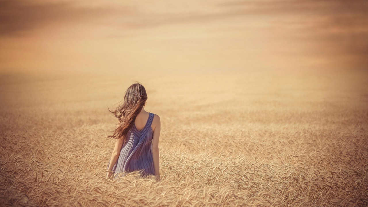 Девушка среди поля спелой пшеницы