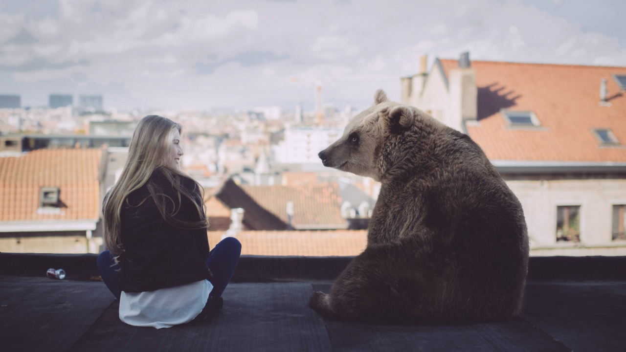 Девушка с медведем на крыше