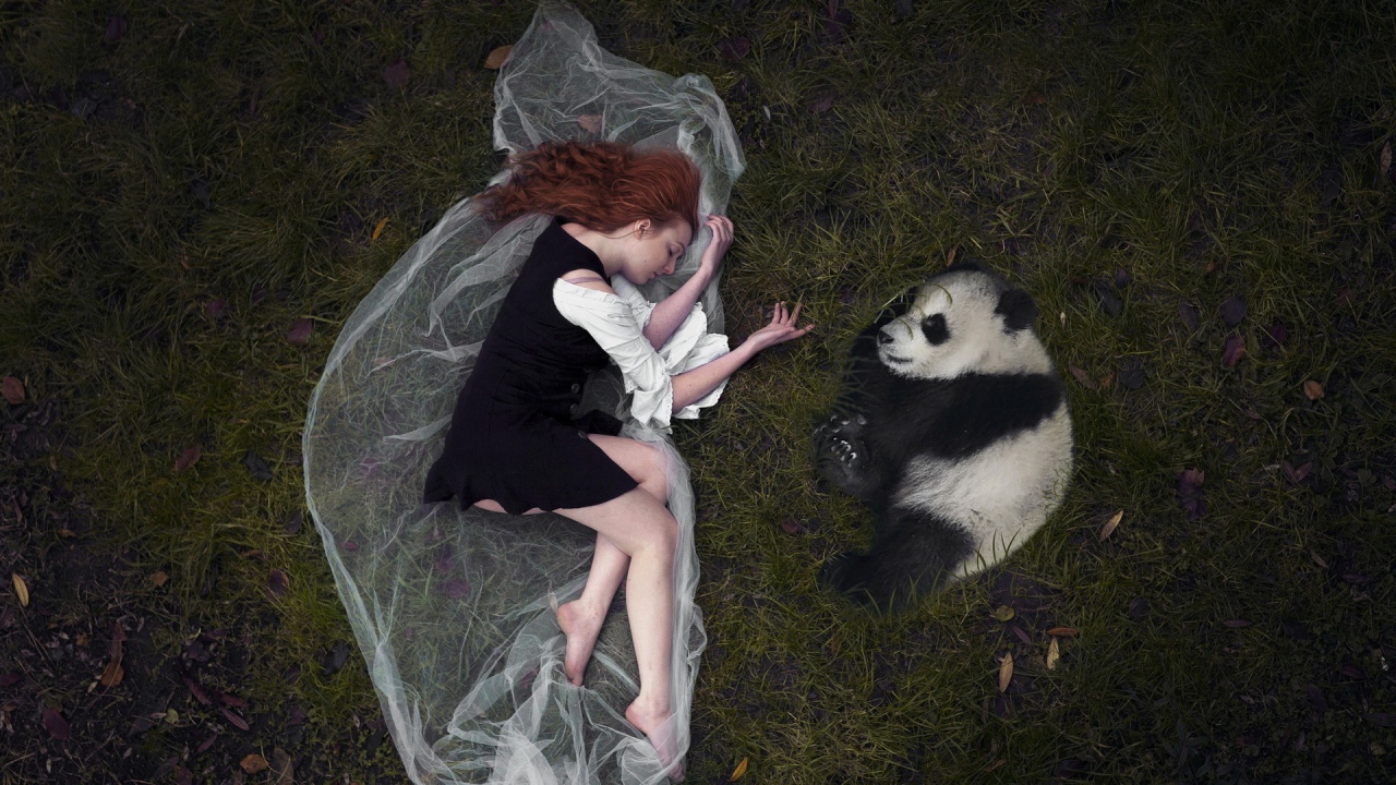 Девушка и панда лежат рядом на траве