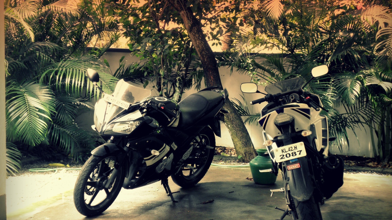 Два мотоцикла во дворе