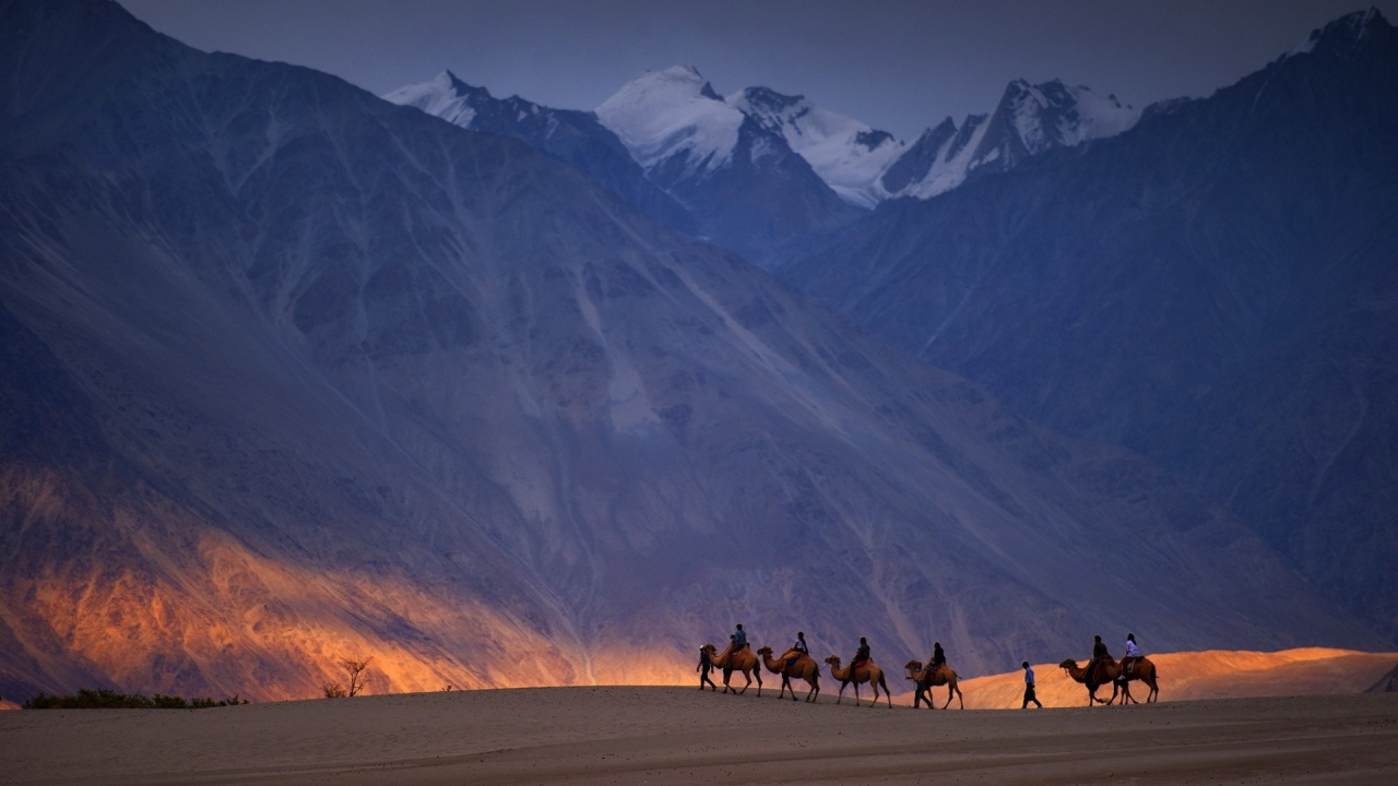 Караван верблюдов на фоне гор