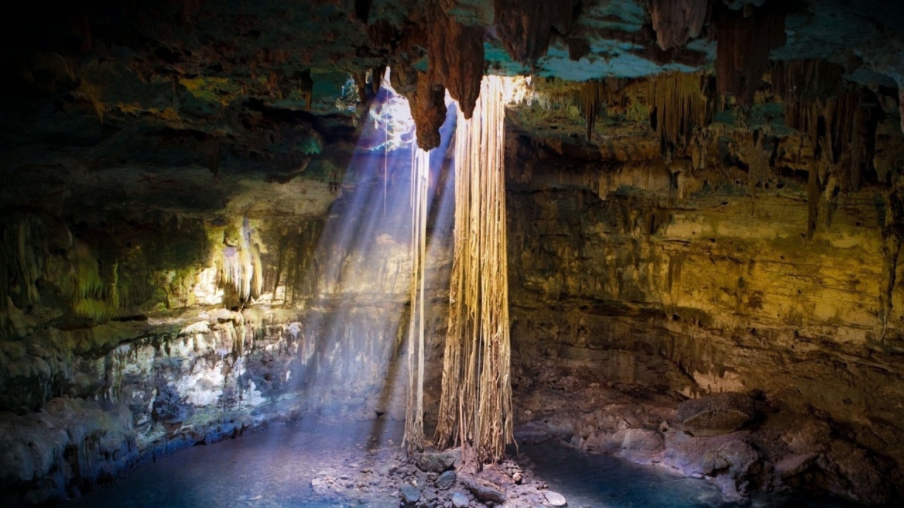 Лианы свисают с потолка пещеры