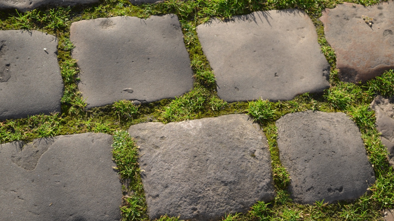 Зеленая трава между блоков брусчатки