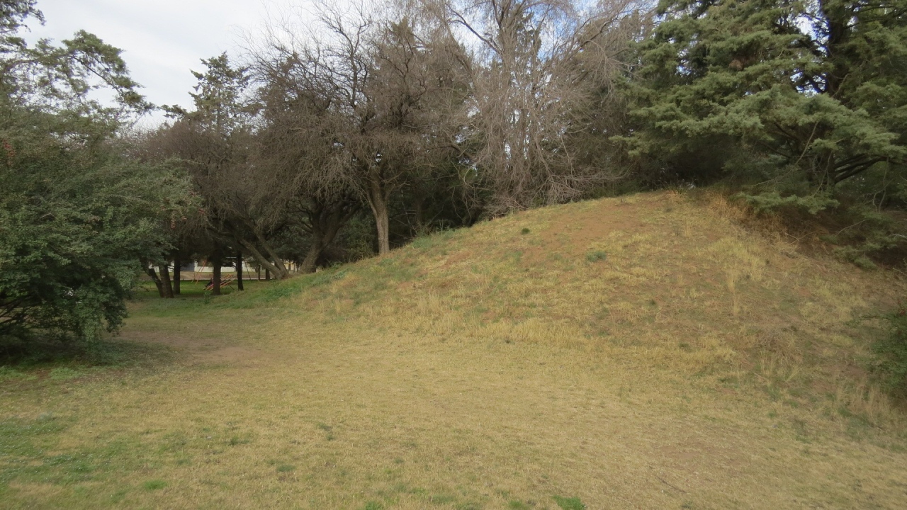 Холм с деревьями в парке