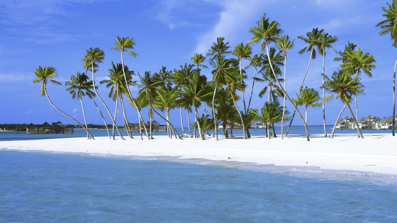 Пальмы на белоснежном песке